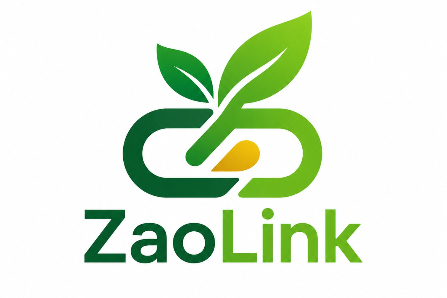 ZaoLink